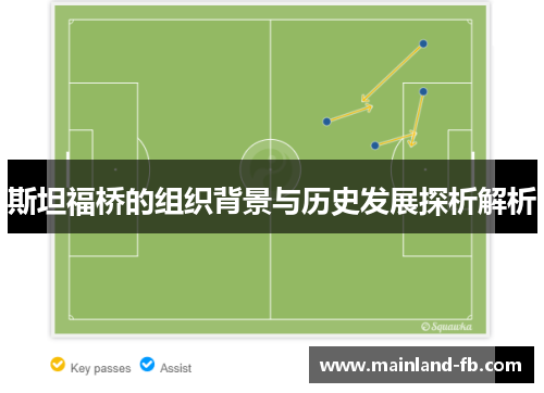 斯坦福桥的组织背景与历史发展探析解析