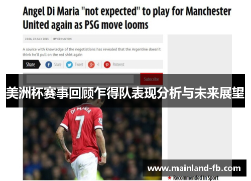 美洲杯赛事回顾乍得队表现分析与未来展望