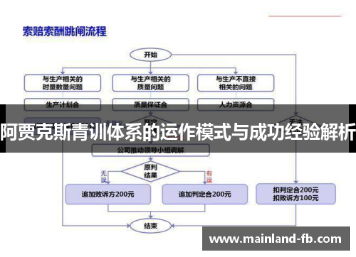 阿贾克斯青训体系的运作模式与成功经验解析