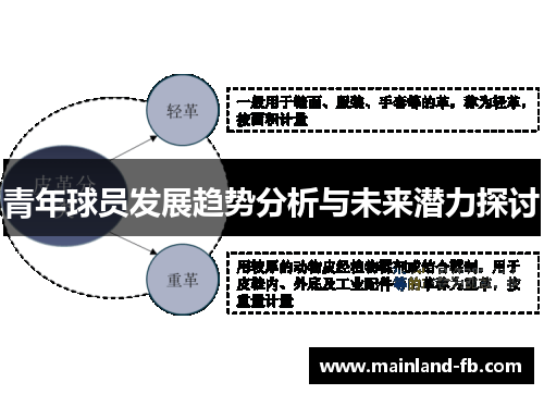 青年球员发展趋势分析与未来潜力探讨